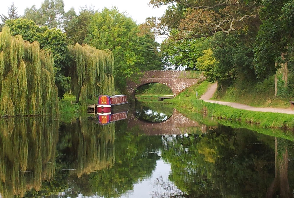 tiverton canal trips